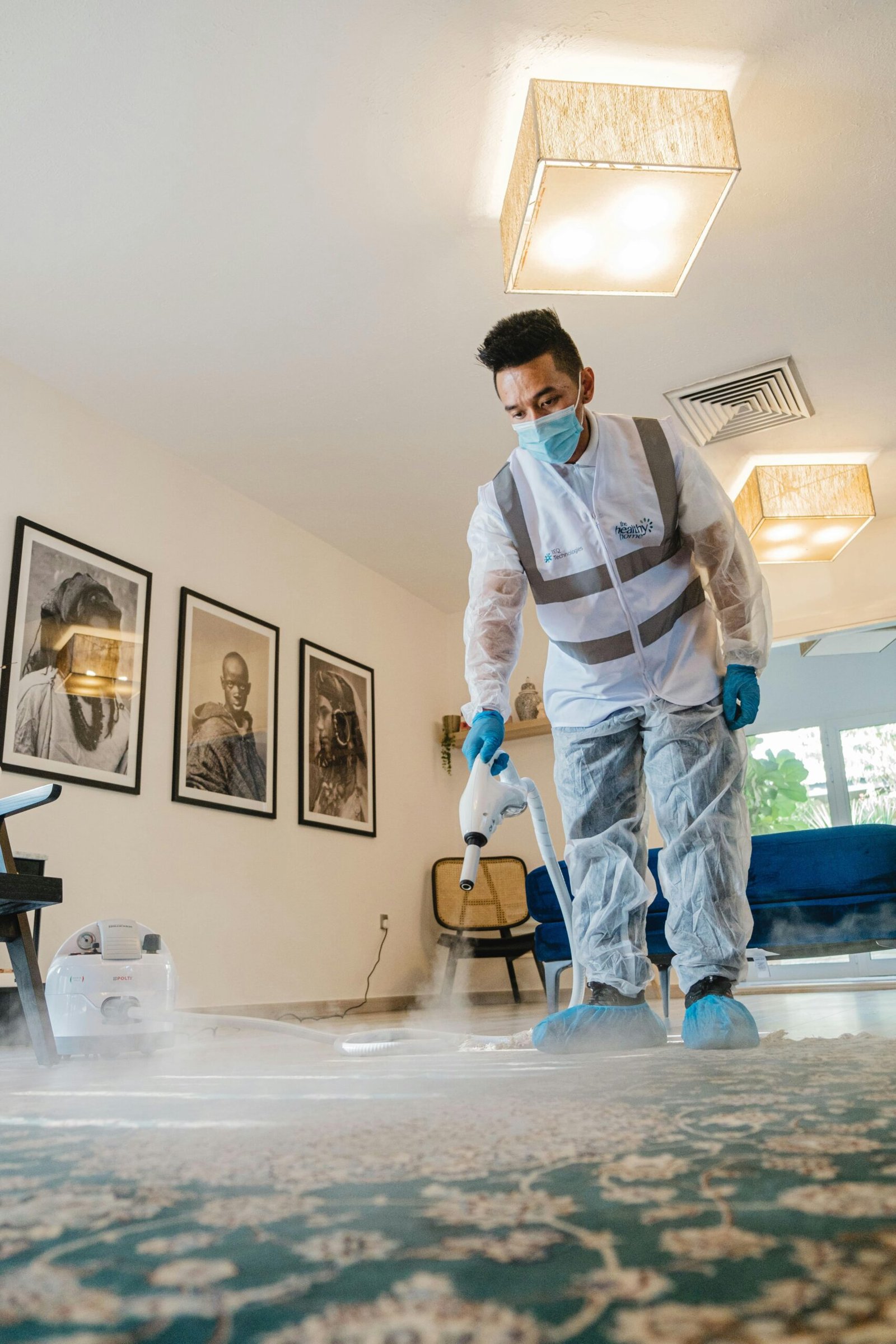 Pest Control for Homes: What You Need to Know
